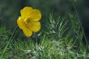 DSCN1256a.jpg