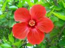 DSCN3801.JPG