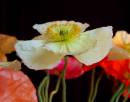 DSC_00032008-09-24_07-47-25.JPG