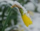 DSC_0009.jpg