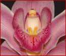 DSC_0012web.jpg