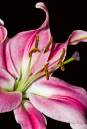 DSC_0017-Edit-Edit.jpg