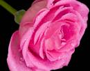 DSC_0024-Edit.jpg