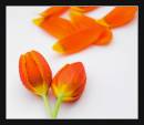 DSC_0035-Edit-Edit.jpg