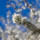 DSC_0051resize.jpg