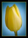 DSC_0142-Edit-Edit.jpg