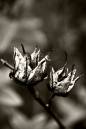 DSC_0150-2.jpg