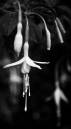 DSC_0191-as-Smart-Object-1.jpg