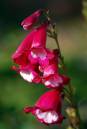DSC_02021.JPG