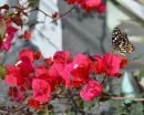 DSC_0371_JPGaa1.jpg