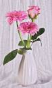 DSC_8141zweb.jpg
