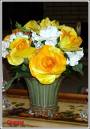 Flowers_-_Historgram_bar_in_Middle_of_Box_on_cam_screen_Incident_Plastic_facing_light_source.jpg