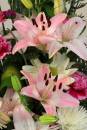 Flowers_09_03_08_web_002.JPG