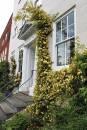 Flowers_On_House_1.jpg