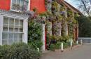 Flowers_On_House_2.jpg