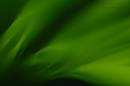 Green-DOF.jpg