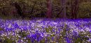 Hilhousebit-3.jpg