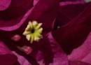 IMG_0014_01.jpg