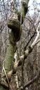 IMG_0075_edited-1.jpg