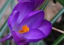 IMG_1757.jpg