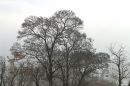 IMG_20200121_200739.jpg