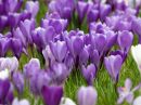 IMG_26771.jpg