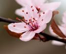 IMG_2982.JPG