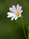 IMG_3876.jpg