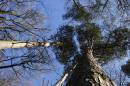 IMG_6342aresized.jpg