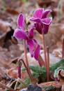 IMG_6466_4192_edited-1.jpg