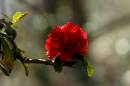 IMG_6887.jpg