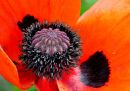 IMG_7768_edited-1.jpg