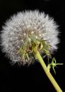 IMG_8910_edited-1.jpg