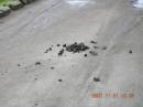 /gallery/data/505/thumbs/Image000011.jpg