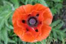 Image00015.jpg