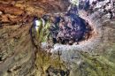 Inside_Tree_-_Ennerdale_edited-1-2.jpg