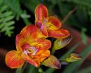 JRD5542adjpsclWEB700SR.jpg