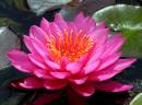 JRD9506_L_pscrpweb900sr.jpg