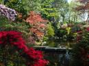 Japanese_Garden1.JPG