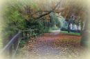 Just_Autumn.jpg