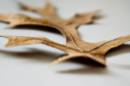 Leaf-2.jpg