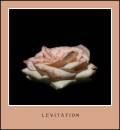 Levitation.jpg