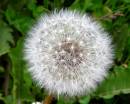 MACRO_010.jpg