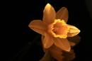 MARCRODAFF20112_edited-1.jpg