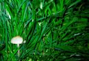 MG_2580_edited-1.jpg