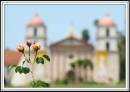 Mission_Rose_Garden.jpg