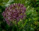 Mottisfont-5.JPG