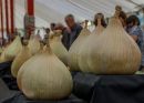 Onions.JPG