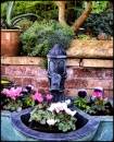 Our_garden3.jpg