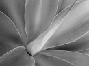 P3101268_resize.jpg